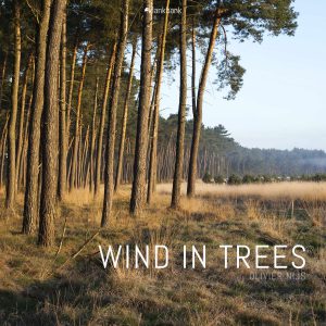 Cover Wind in Trees