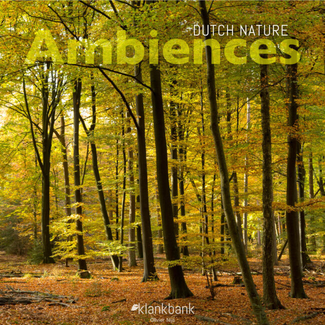 Dutch Nature - Ambiences